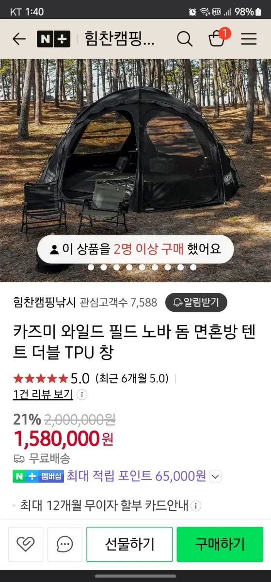 카즈미 노바돔